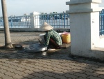 Highlight for Album: Mekong delta